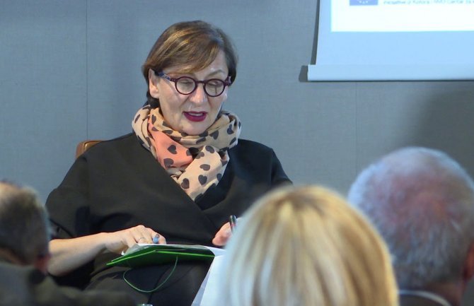 Tadić Mijović: Moje ime ne dovodite u vezu sa kandidaturom za predsjedničke izbore