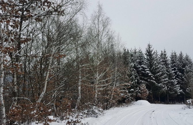 Narandžasti meteoalarm: Oblačno, jaka kiša i udari vjetra, na sjeveru snijeg
