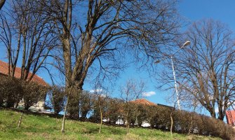 Danas sunce, tokom noći kiša