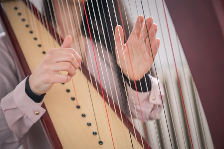 2018031122916640031542227Web