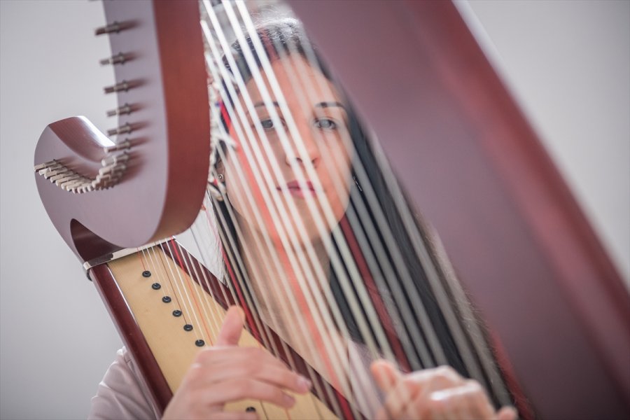 2018031122916640031542228Web