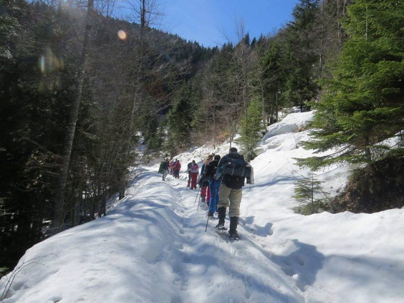 2910398117283830538513333837017464625954816n