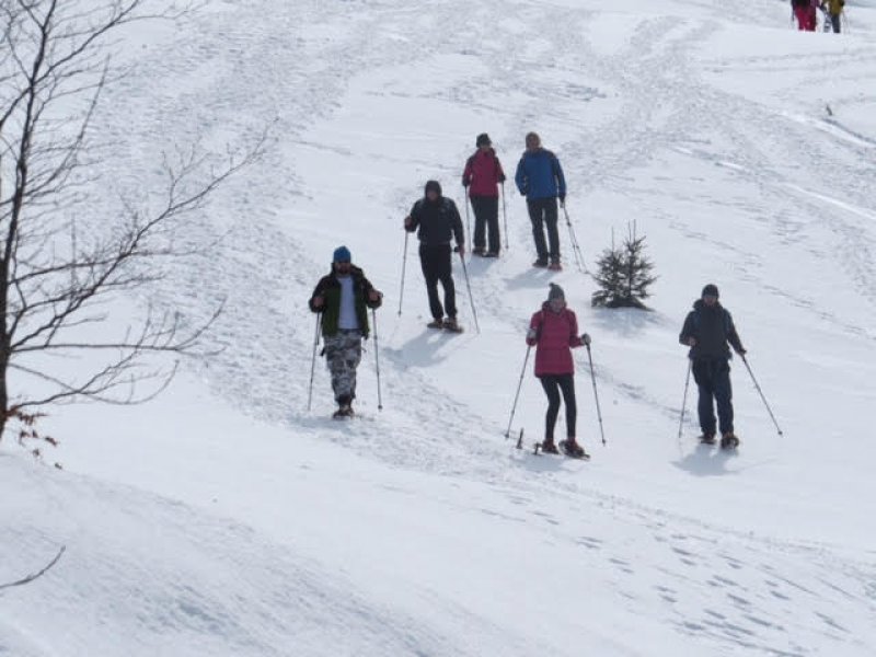 2917901717283831471846574009644492448595968n