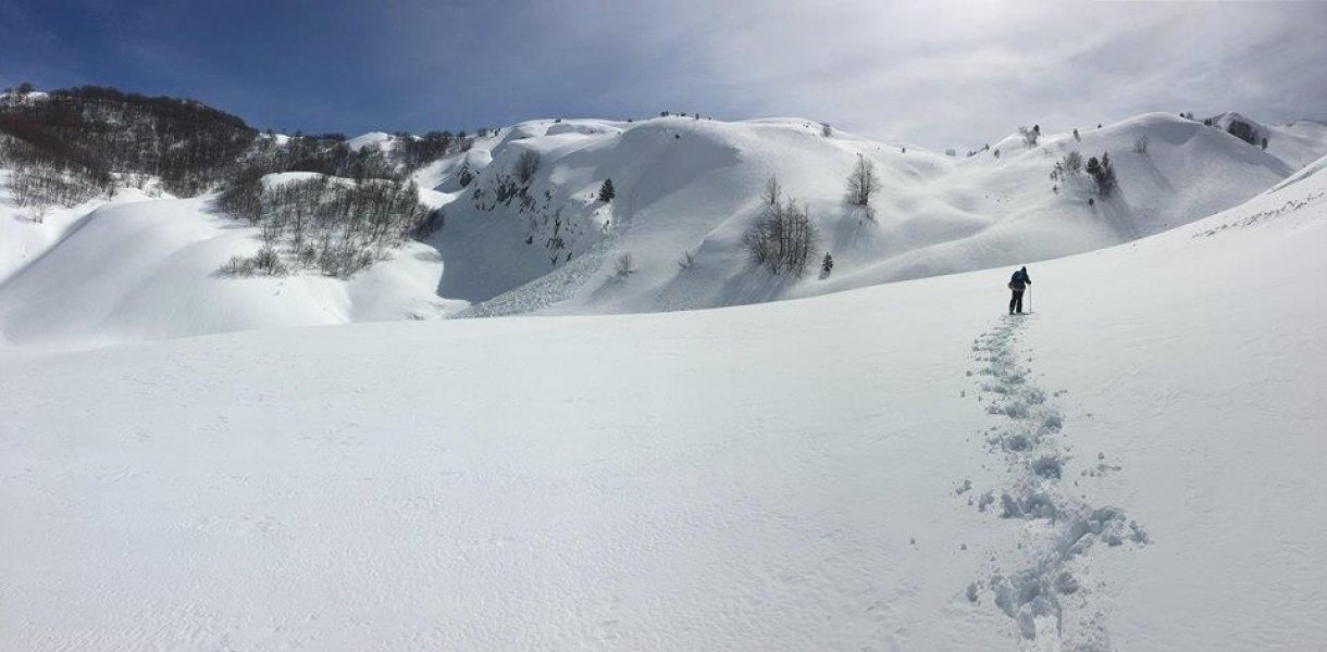 2913653317283828105180247907341504140541952n