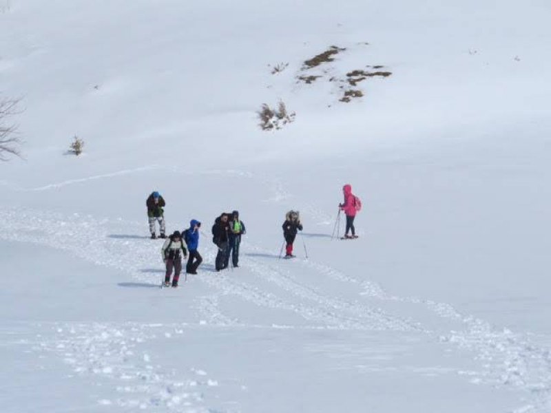 2913615017283833238513061171083379408371712n