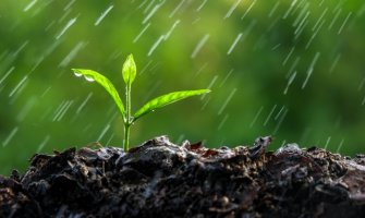 Oblačno sa kišom, do 23 stepena