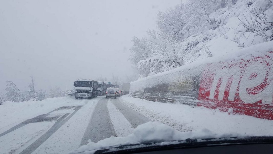 29497846102163516320913503959628069278318592o