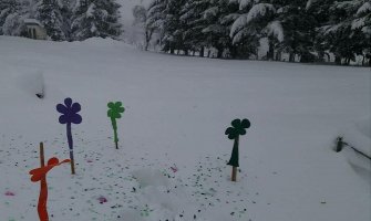 Cvjetna bašta u snijegu u Mojkovcu i bijelo proljeće (FOTO)