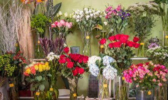 Crnogorka državni posao zamijenila cvjećarom (FOTO)