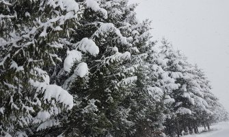 Misteriozni nestanak starica u Šavniku, bez ikakvog traga skoro tri mjeseca