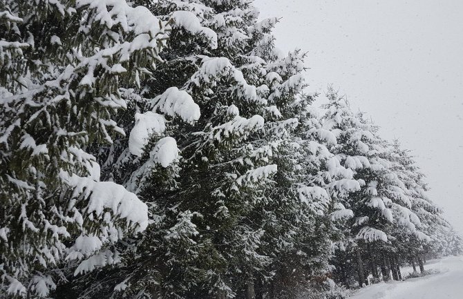 Misteriozni nestanak starica u Šavniku, bez ikakvog traga skoro tri mjeseca