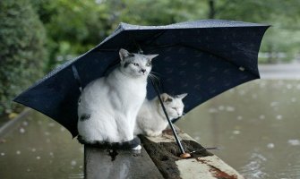 Na jugu kiša prijepodne, na sjeveru u drugom dijelu dana