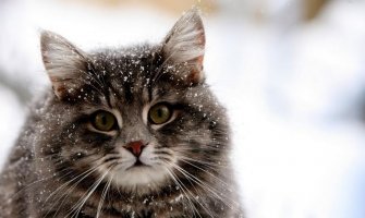 Danas bez padavina i toplije 