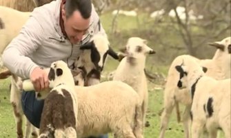 Neženja sa Durmitora: Neće žene na selo, više vole taksiste, penzionere...