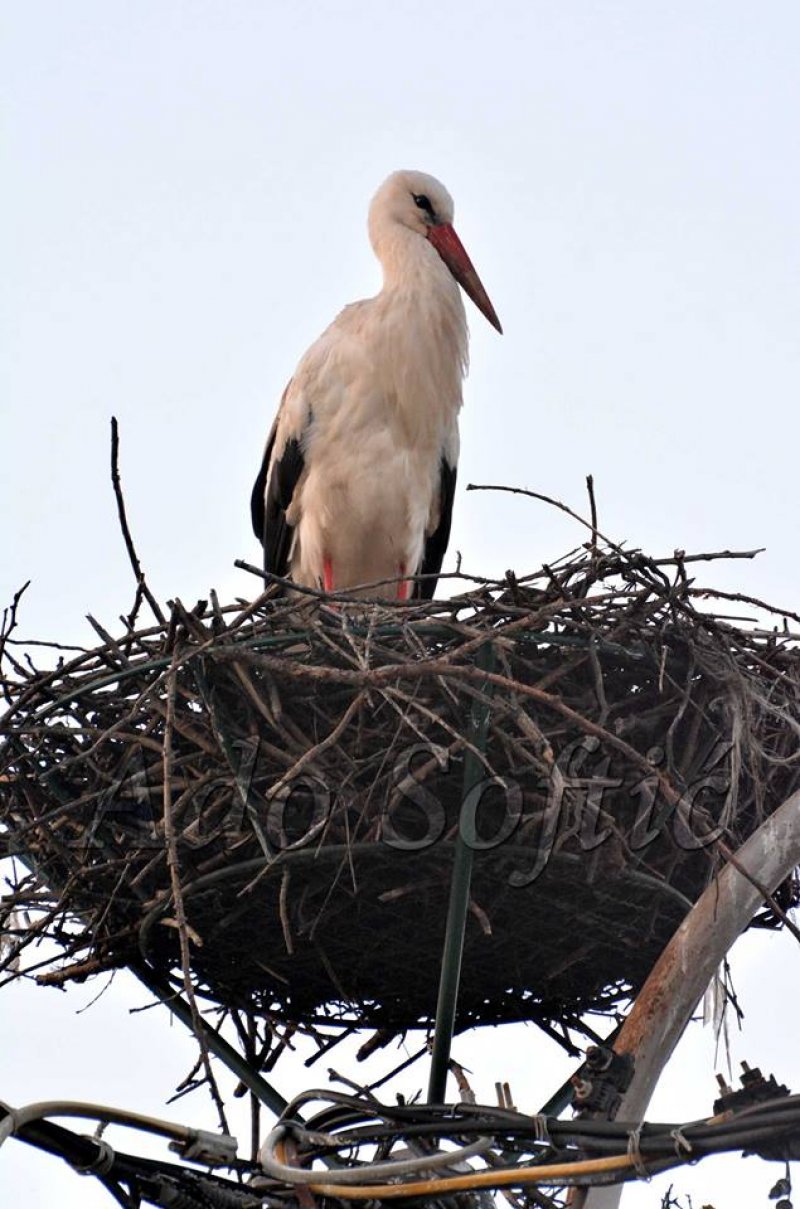 3057209419369799363120095023781365905096704n