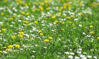 Danas sunčano, do 26 stepeni