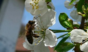 Evo kakvo nas vrijeme očekuje za vikend