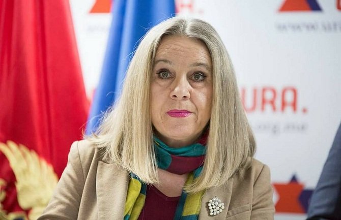 Jelušić: Bilbordi u Budvi štetni, oni su privatna stvar DF-a iza njih ne stoji grad Budva