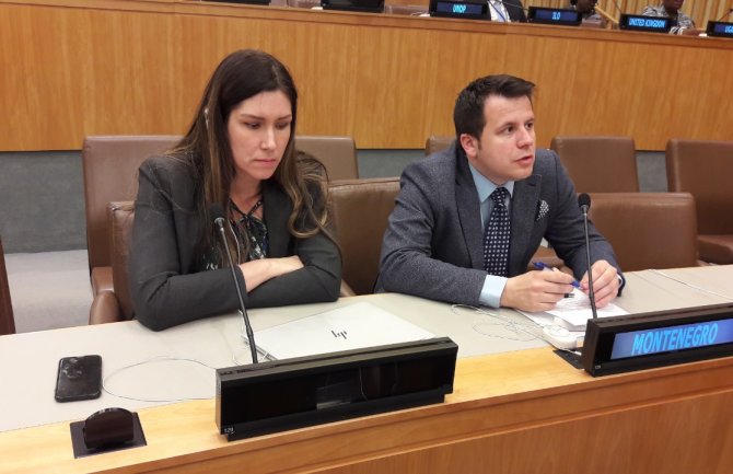 Jovetić i Janković na 70. zasijedanju Komiteta eksperata za javnu administraciju ECOSOC-a