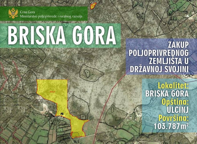 3133781616374446763097108158539512624971776n