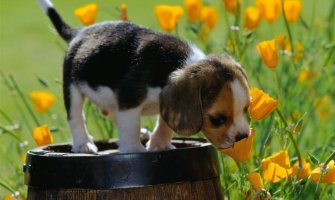 Sunčano, do 23 stepena