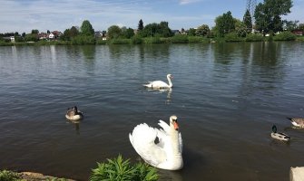 I  danas toplo, do 31 stepen