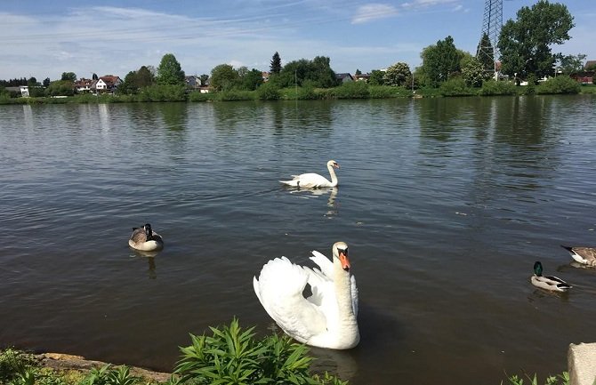 I  danas toplo, do 31 stepen