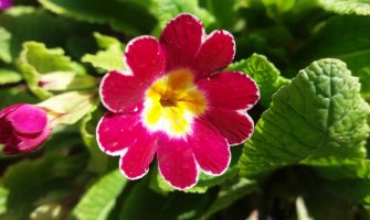 I danas veoma toplo, ponegdje moguća kiša