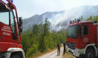 Na Cetinju počeli požari, vatrogasci gasili na dvije lokacije