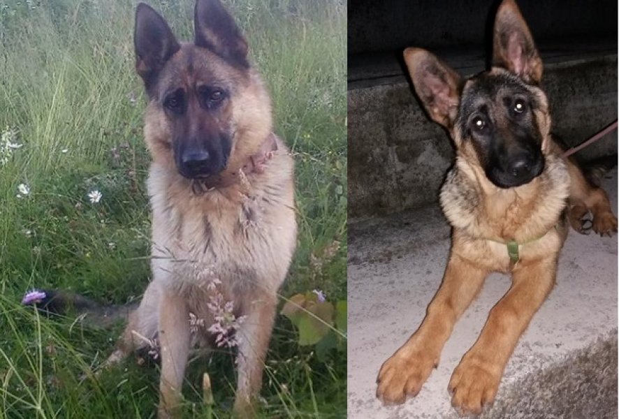 Screenshot201804230025051