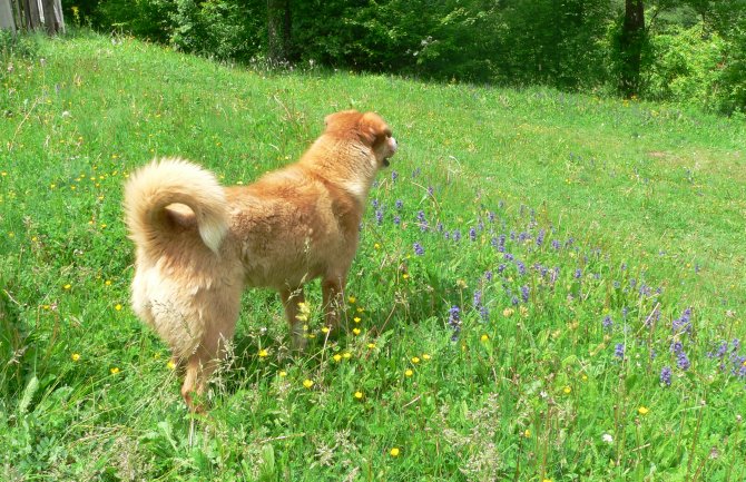 Na jugu sunčano, na sjeveru kiša