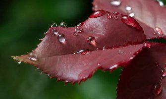 Promjenljivo oblačno, mjestimično kiša