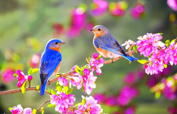Danas sunčano i toplo, temperatura do 32°C
