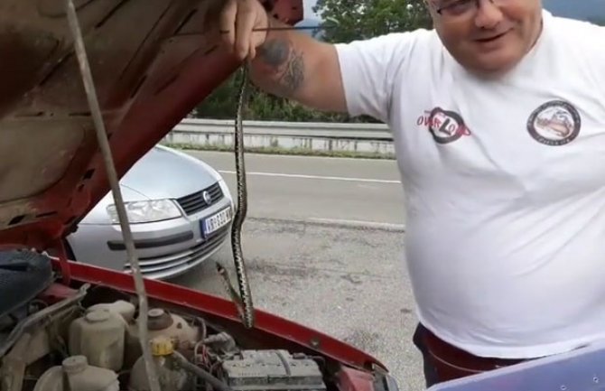 Zmija izvirila iz haube automobila tokom vožnje (VIDEO)