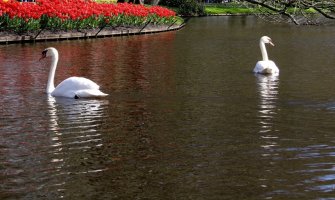 Danas bez kiše, do 33 stepena