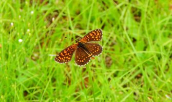 Pretežno sunčano, poslijepodne moguća kiša
