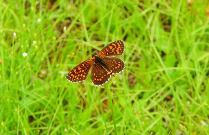 Pretežno sunčano, poslijepodne moguća kiša