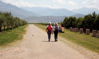 Sunčano i toplo, do 35 stepeni