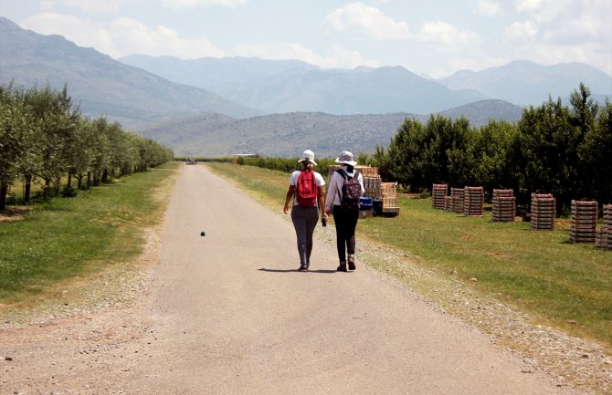 Sunčano i toplo, do 35 stepeni
