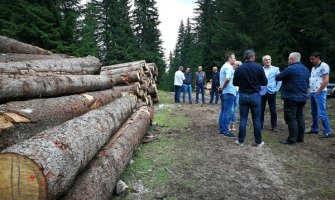 Pilot projekat u cilju uspostavljanja novog modela korišćenja šuma