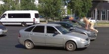 Gola djevojka zaustavljala automobile i pela se na haubu (Video)