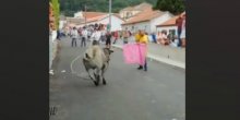 Nevjerovatno ali istinito: Izazivao bika s djetetom u ruci (Video)