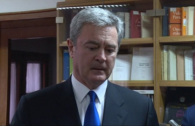 Vukčević: Crnoj Gori potreban novi konsenzus, ovog puta unutar države