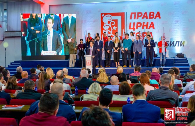 Milačić: Srbi u Crnoj Gori taoci i profesionalnih Srba