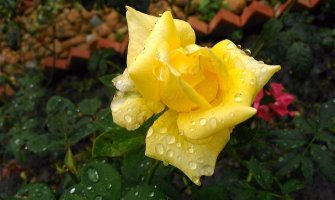 Povremeno kiša na sjeveru moguć snijeg