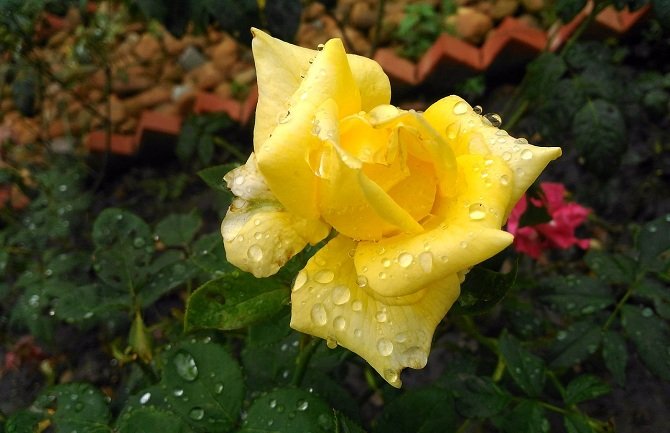 Povremeno kiša na sjeveru moguć snijeg