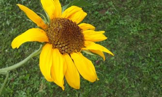 Promjenljivo, poslijepodne kiša 