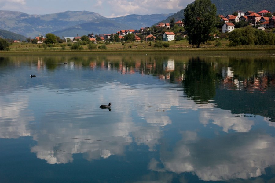 2018082623207602636681613Web