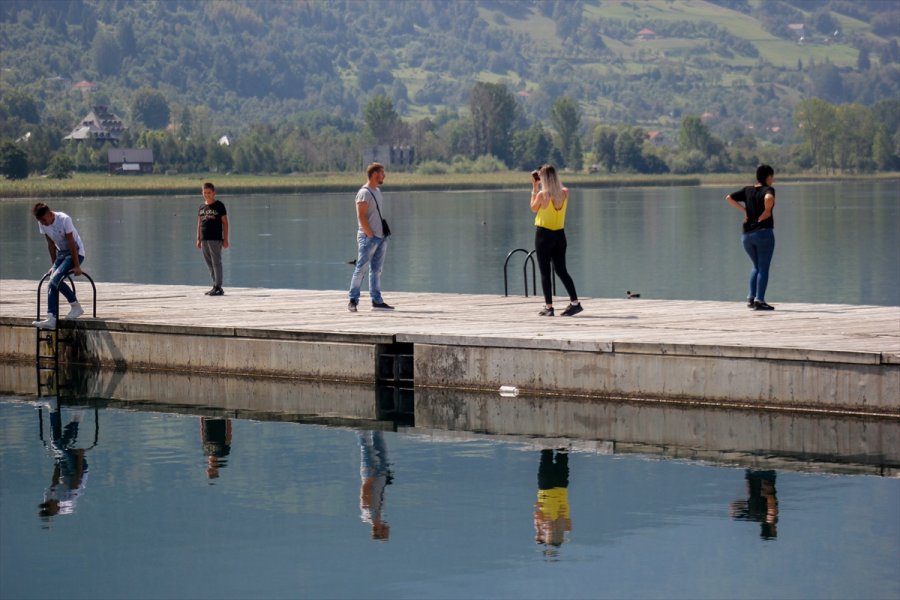 2018082623207602636681615Web