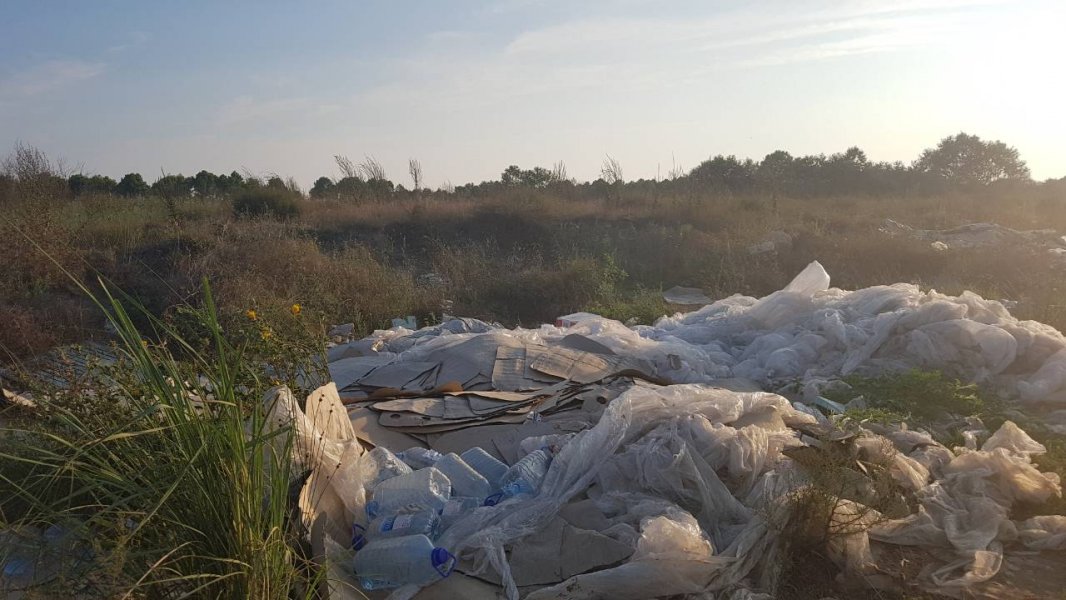 IMG102e8d75012933c02bdecd722a5effd8V